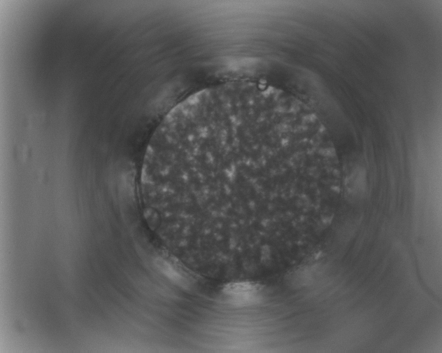 X0000053460231200508112205.png