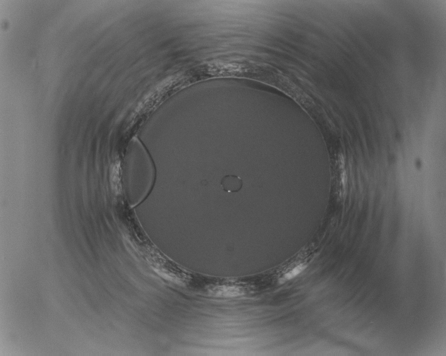 X0000054170224200508101808.png