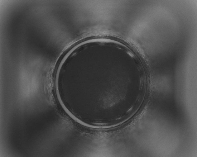 X0000047501226200503161504.png