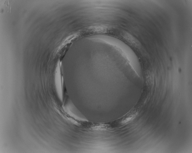 X0000054170072200508101810.png
