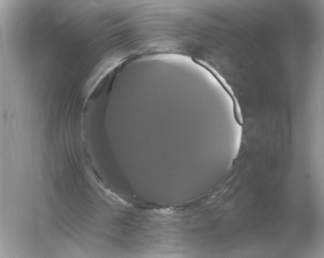 X0000054350194200508190137.png