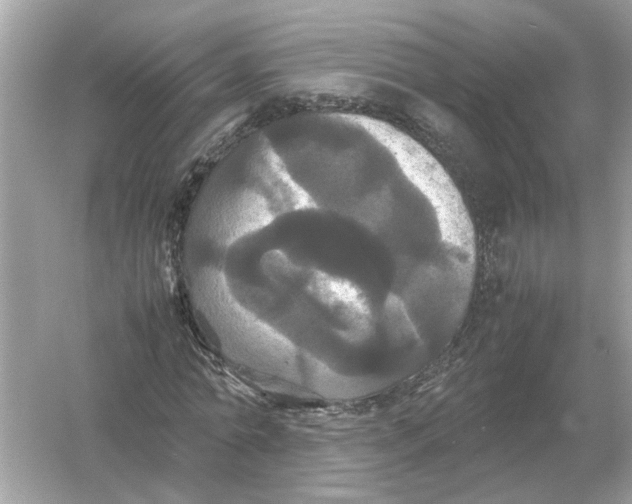 X0000054350774200508190127.png