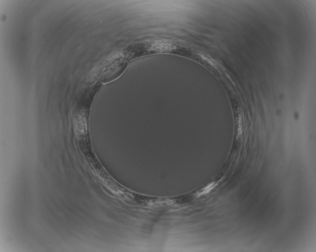 X0000054170517200508101803.png