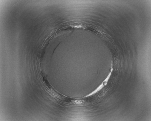 X0000054350654200508190129.png