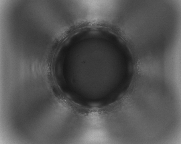 X0000054730740200508171851.png