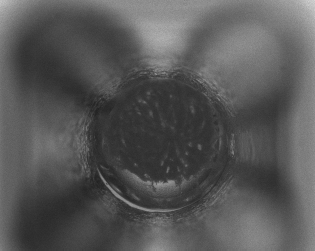 X0000045391395200501241351.png