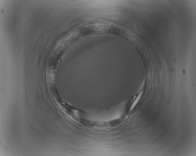 X0000054170137200508101809.png