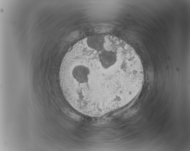 X0000054581393200508300048.png