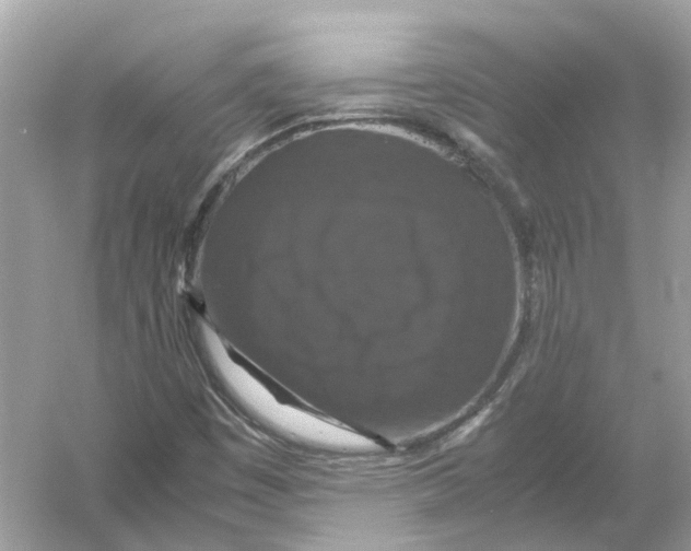 X0000054351449200508190116.png
