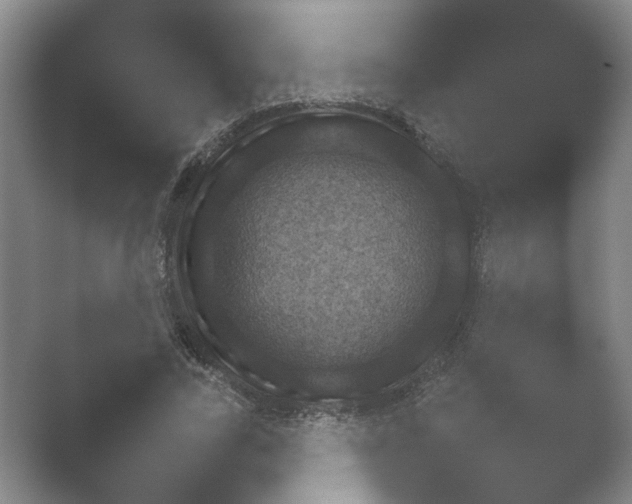 X0000052150731200507051951.png