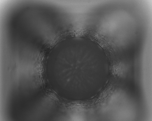 X0000045391010200501241357.png