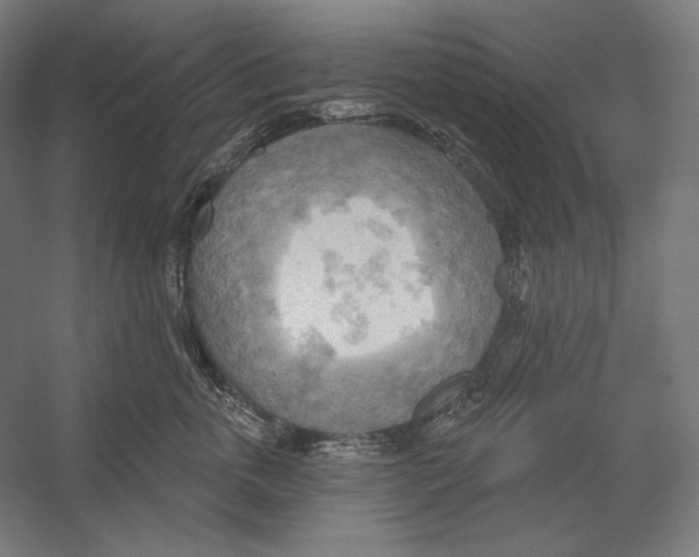X0000055250763200509071615.png