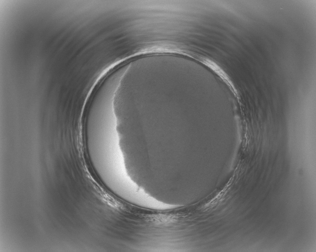 X0000054350996200508190123.png