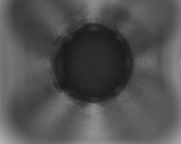 X0000054730278200508171900.png