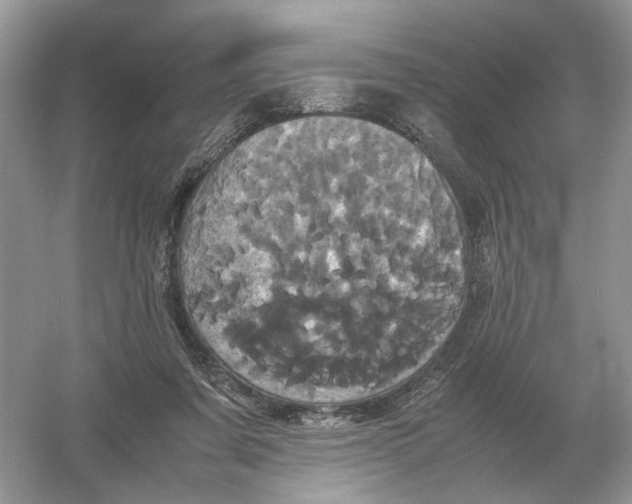 X0000054350311200508190135.png