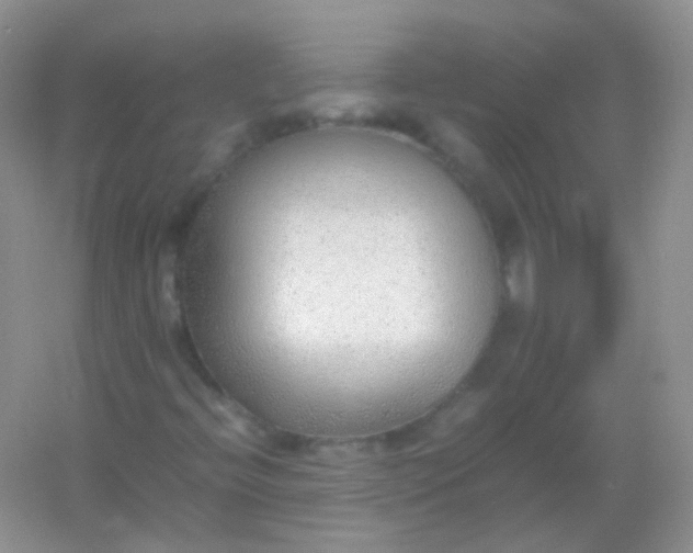 X0000054331396200508111907.png