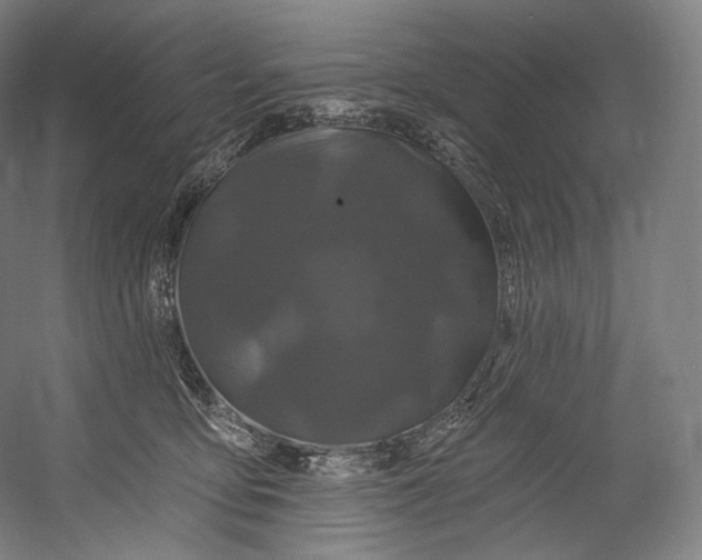 X0000055210419200508301327.png