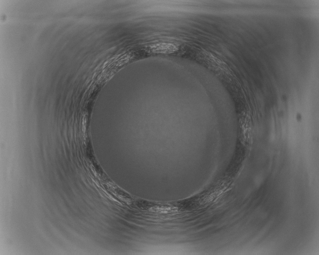 X0000054170745200508101759.png