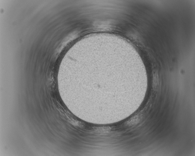 X0000054581210200508300052.png