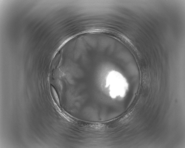 X0000054351417200508190116.png