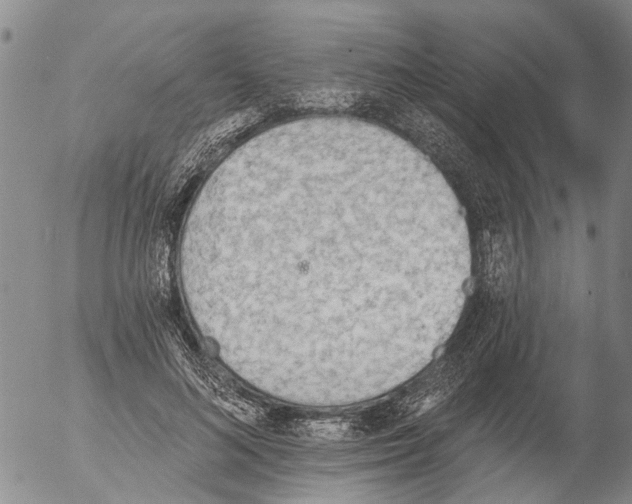 X0000054580692200508300101.png