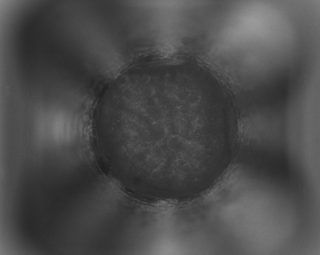 X0000047500238200503161521.png