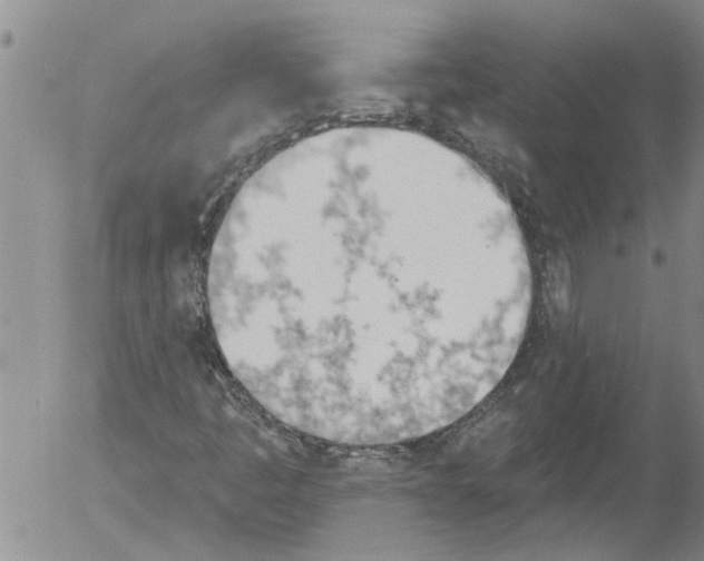 X0000054581445200508300048.png