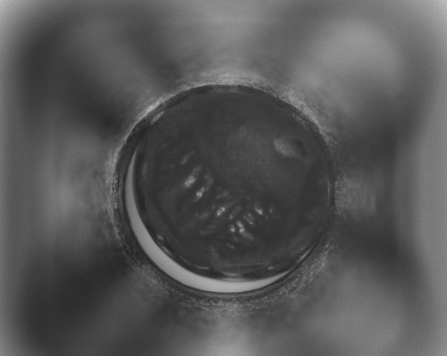 X0000045391071200501241357.png