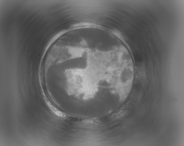X0000055211098200508301315.png