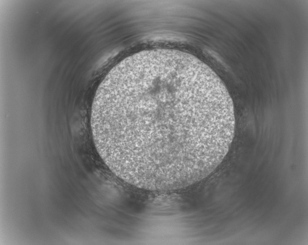 X0000054300824200508042308.png