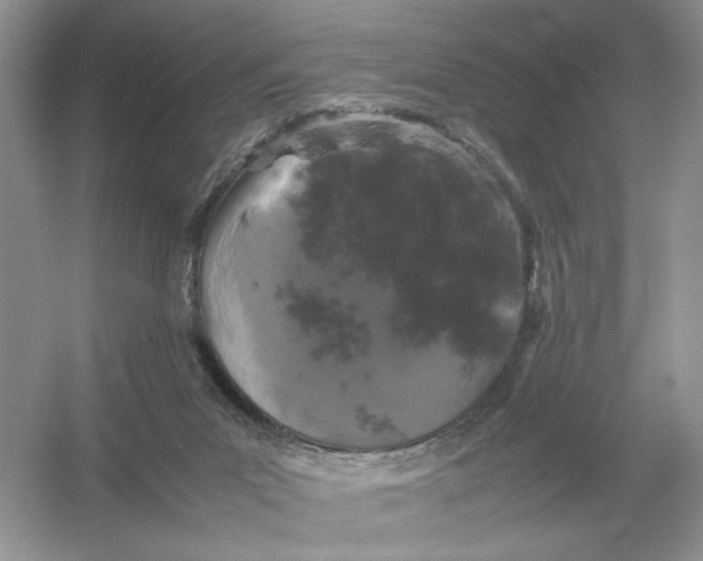 X0000054350023200508190140.png