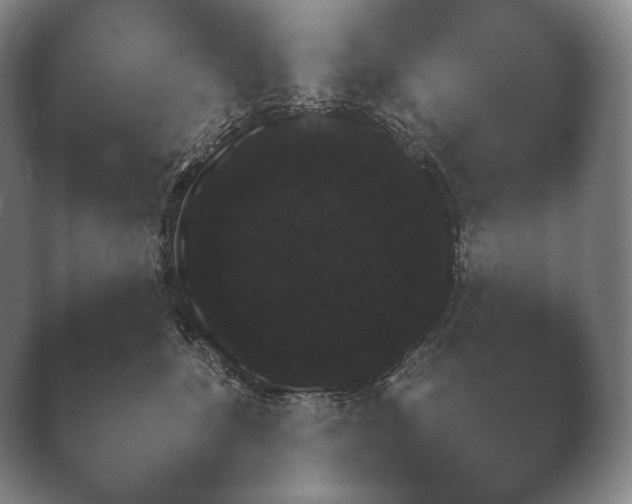 X0000038850520200410131831.png