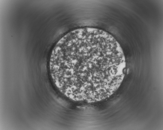 X0000053460207200508112206.png