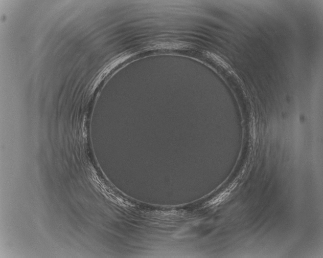 X0000054171025200508101754.png