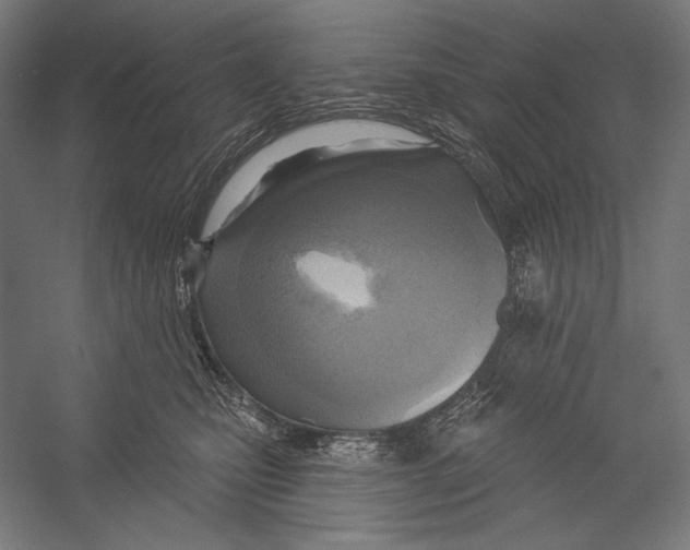 X0000055250471200509071620.png