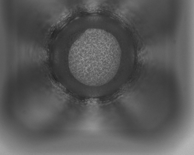X0000038920618200409291007.png