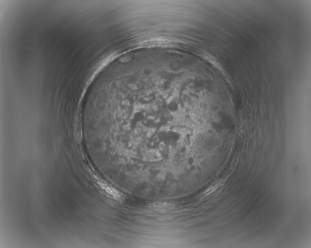 X0000055061075200508161639.png