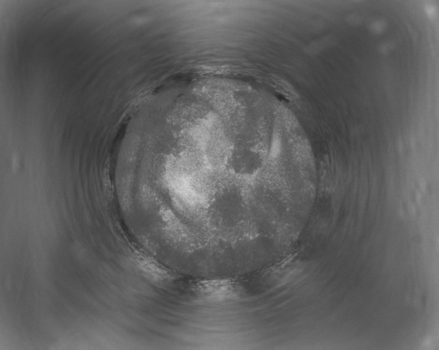 X0000055210377200508301328.png