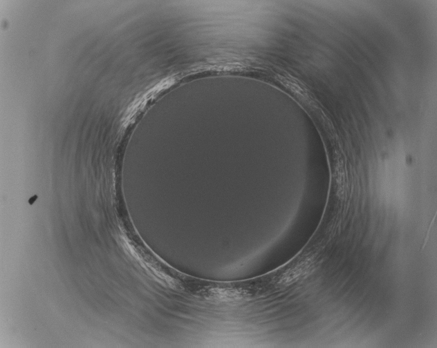 X0000054170442200508101803.png