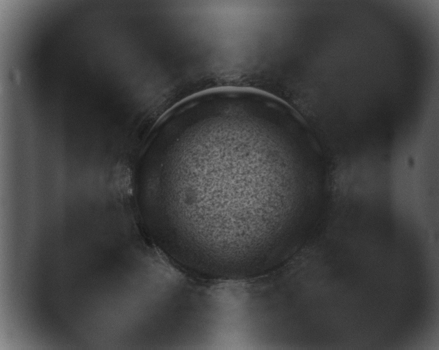 X0000043160081200411300956.png