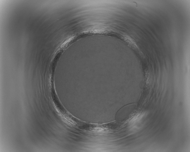 X0000054350542200508190131.png