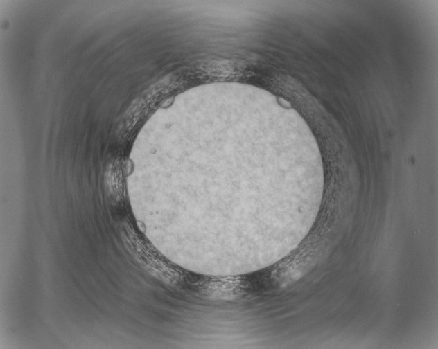 X0000054580720200508300100.png