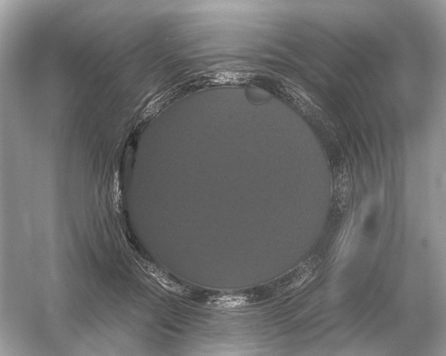 X0000054350554200508190131.png