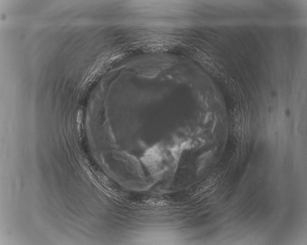 X0000054170742200508101759.png