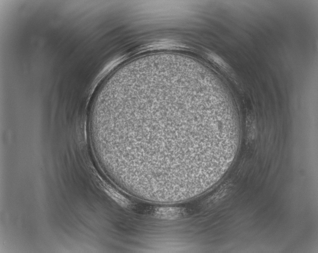 X0000055061322200508161635.png