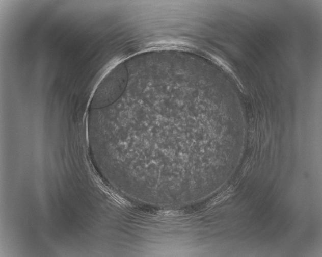 X0000055061275200508161636.png