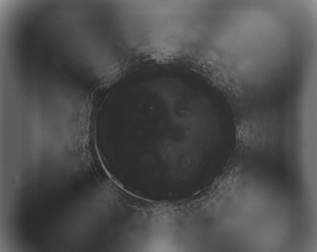 X0000047471012200503091553.png