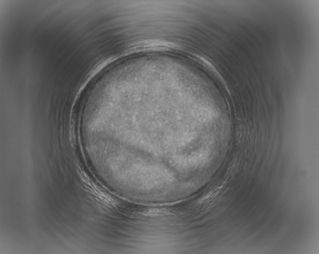 X0000055210835200508301319.png