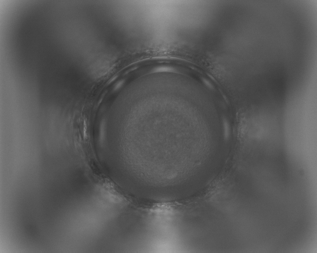 X0000052150076200507052002.png