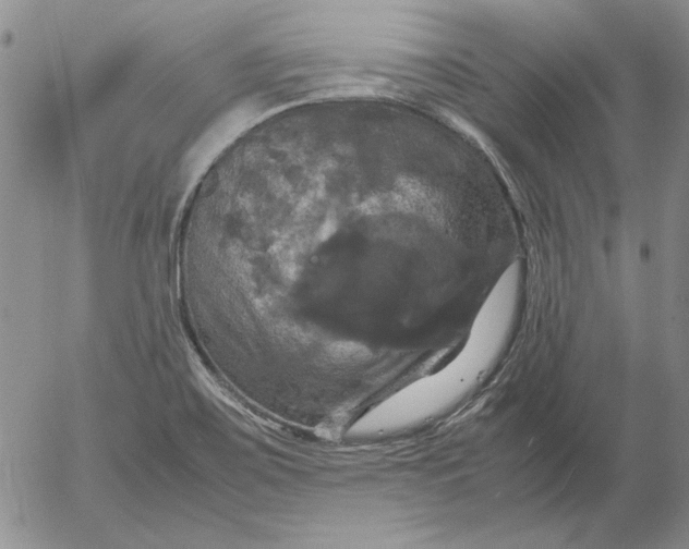 X0000054171467200508101747.png